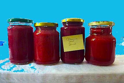Marmelade-selbst-gemacht